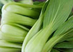 植物冠層分析儀如何助力農(nóng)業(yè)研究？